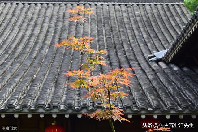 導(dǎo)讀:農(nóng)村蓋房用樹脂瓦適合嗎,?聽完行家的分析,恍然大悟