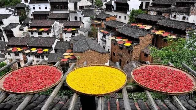 中國***美的鄉(xiāng)村景色,，看看有你的家鄉(xiāng)嗎