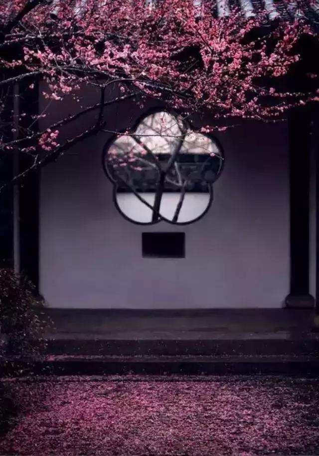 這樣的院子,，只有中國人駕馭得了它,！